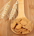 Wheat